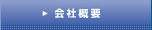 ЊTv